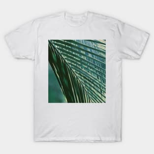 Tropical Palm Tree Leaf T-Shirt